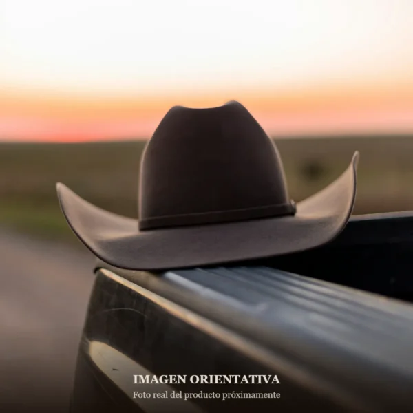 Sombrero cowboy (imagen orientativa)