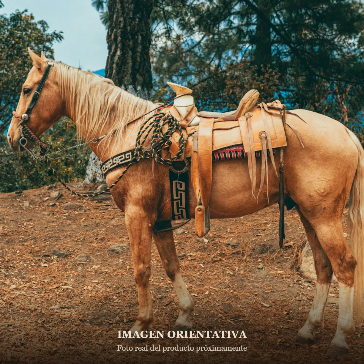 Caballo con montura y sudadero (imagen orientativa)
